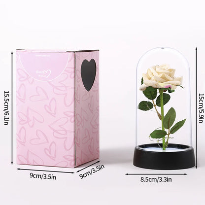 Rosa eterna LED🌹